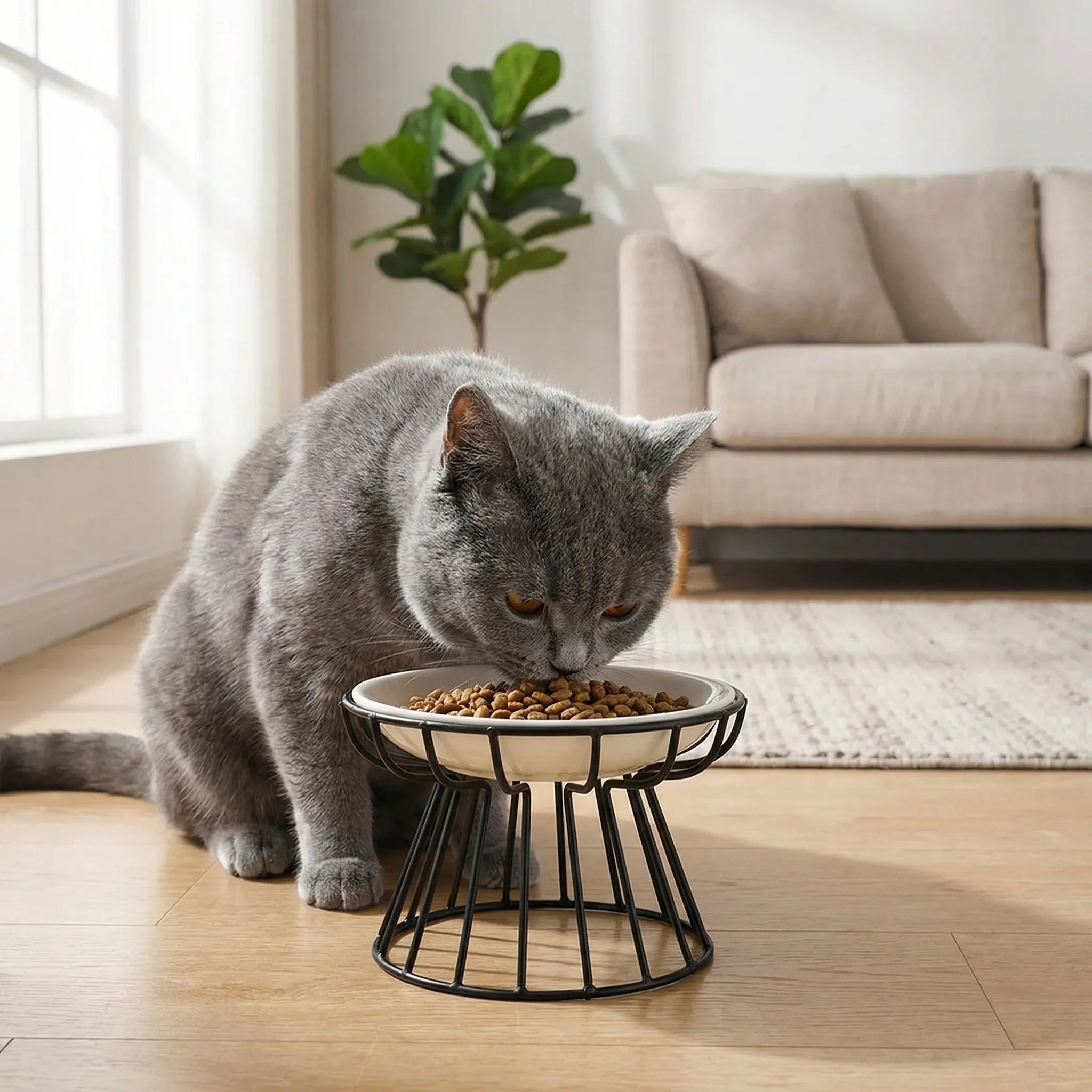 Nordspur | Felidish Raised Ceramic Pet Feeding Bowl