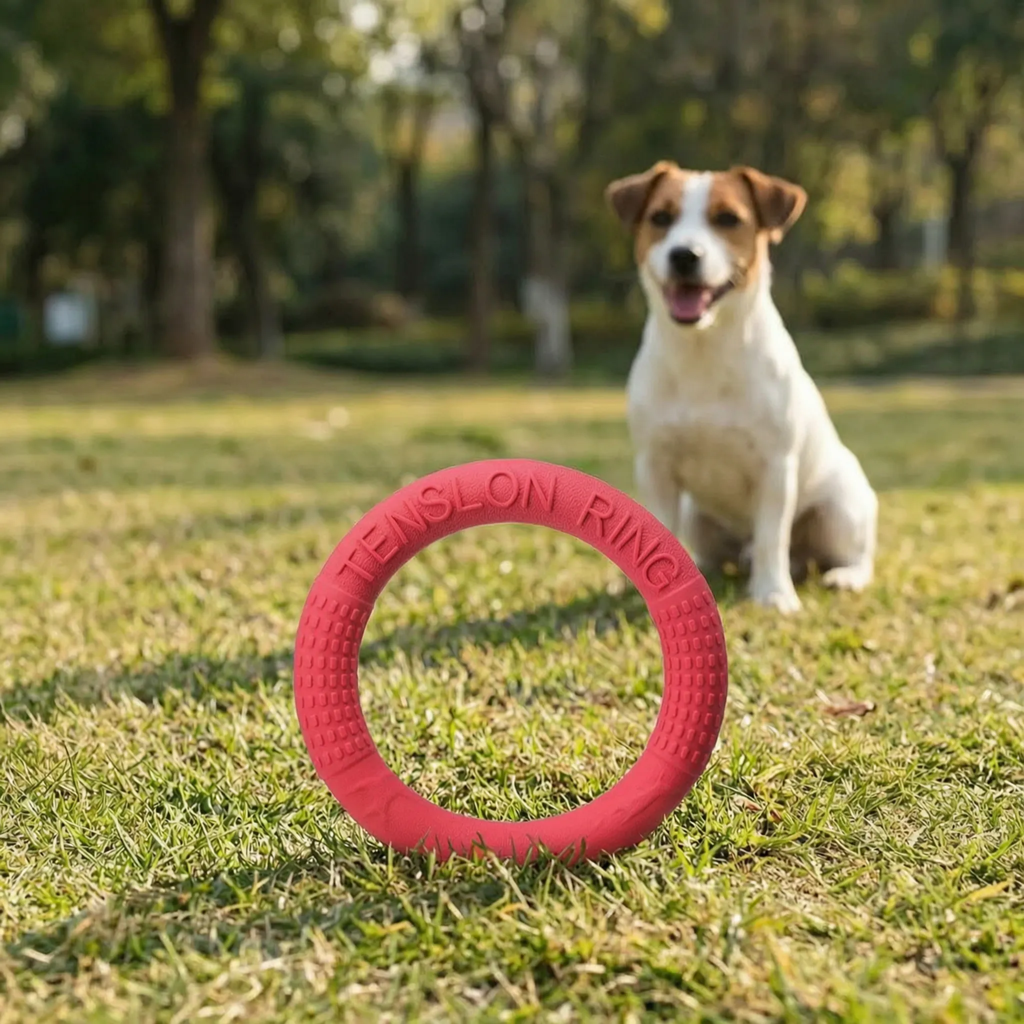 Nordspur | Fetchora Interactive Dog Training Ring