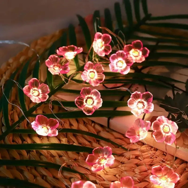 Nordspur | Floralum Battery Fairy Lights For Room