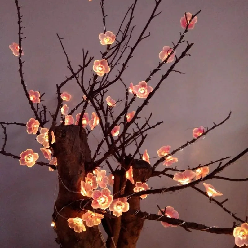 Nordspur | Floralum Battery Fairy Lights For Room