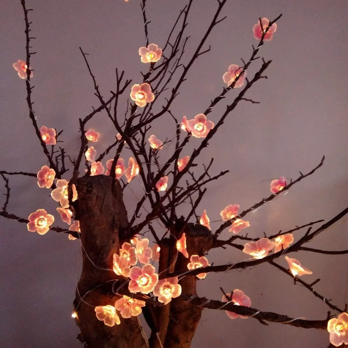 Nordspur | Floralum Battery Fairy Lights For Room