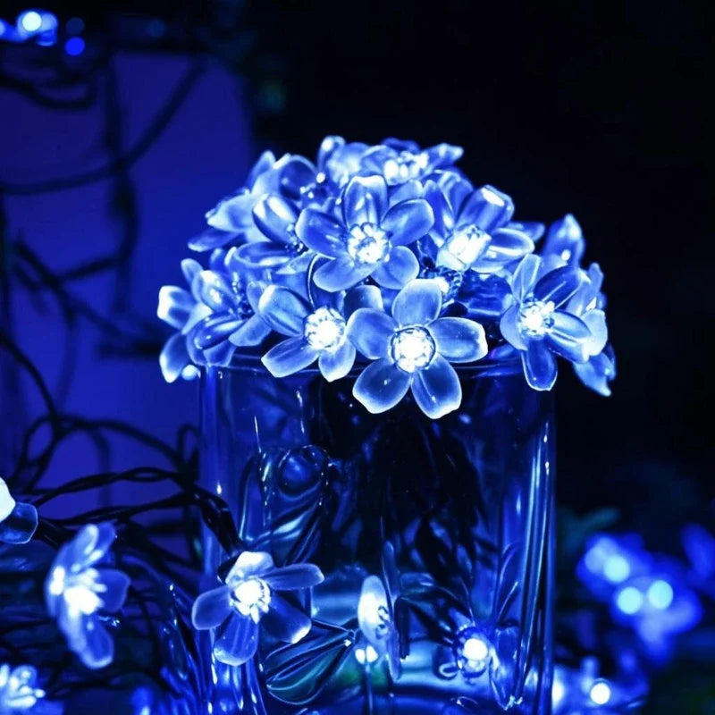 Nordspur | Florispa Solar Garden String Lights