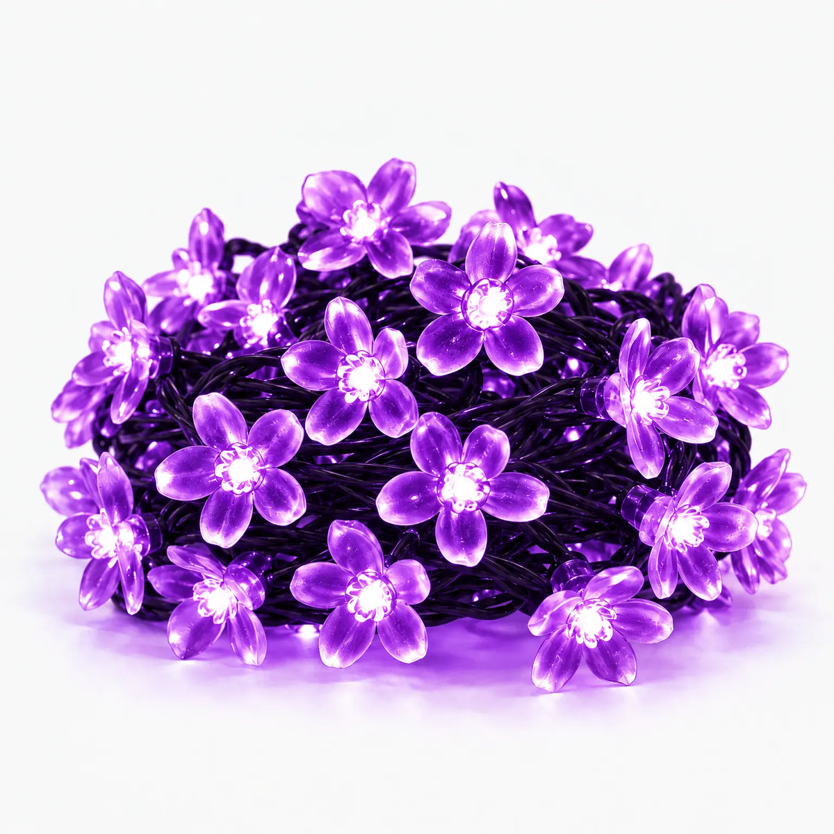 Nordspur | Florispa Solar Garden String Lights