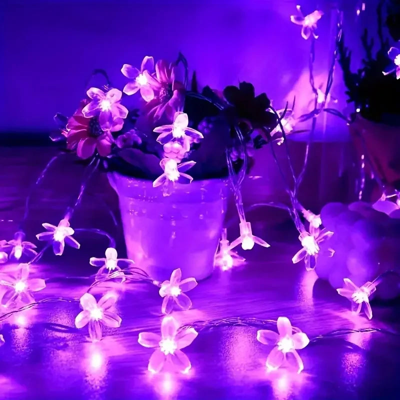 Nordspur | Florispa Solar Garden String Lights