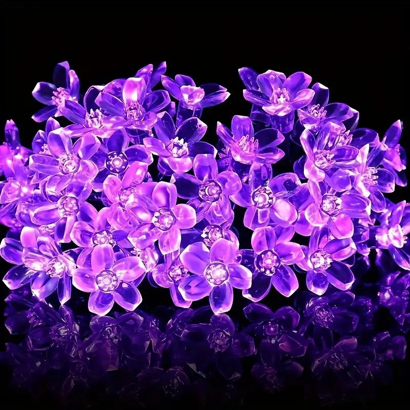 Nordspur | Florispa Solar Garden String Lights