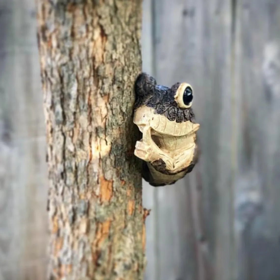 Nordspur | Frogling Peeping Frog Tree-Hanging Garden Ornament
