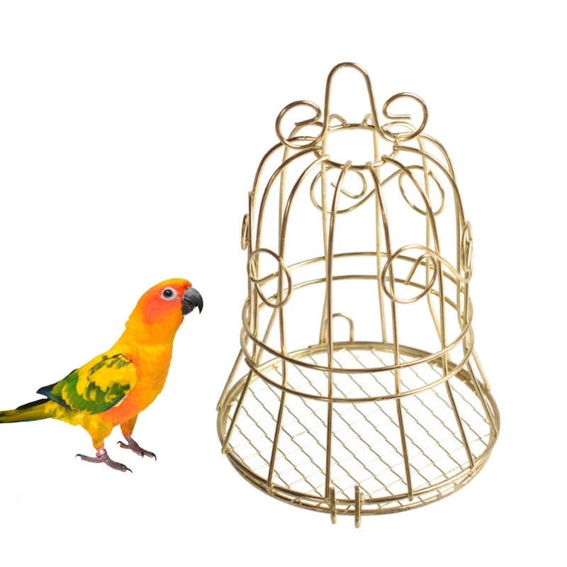 Nordspur | GleamPeck Hanging Outdoor Bird Feeder