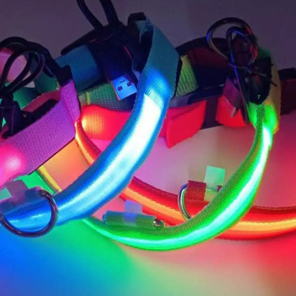 Nordspur | Glowfit Rechargeable LED Safety Dog Harness