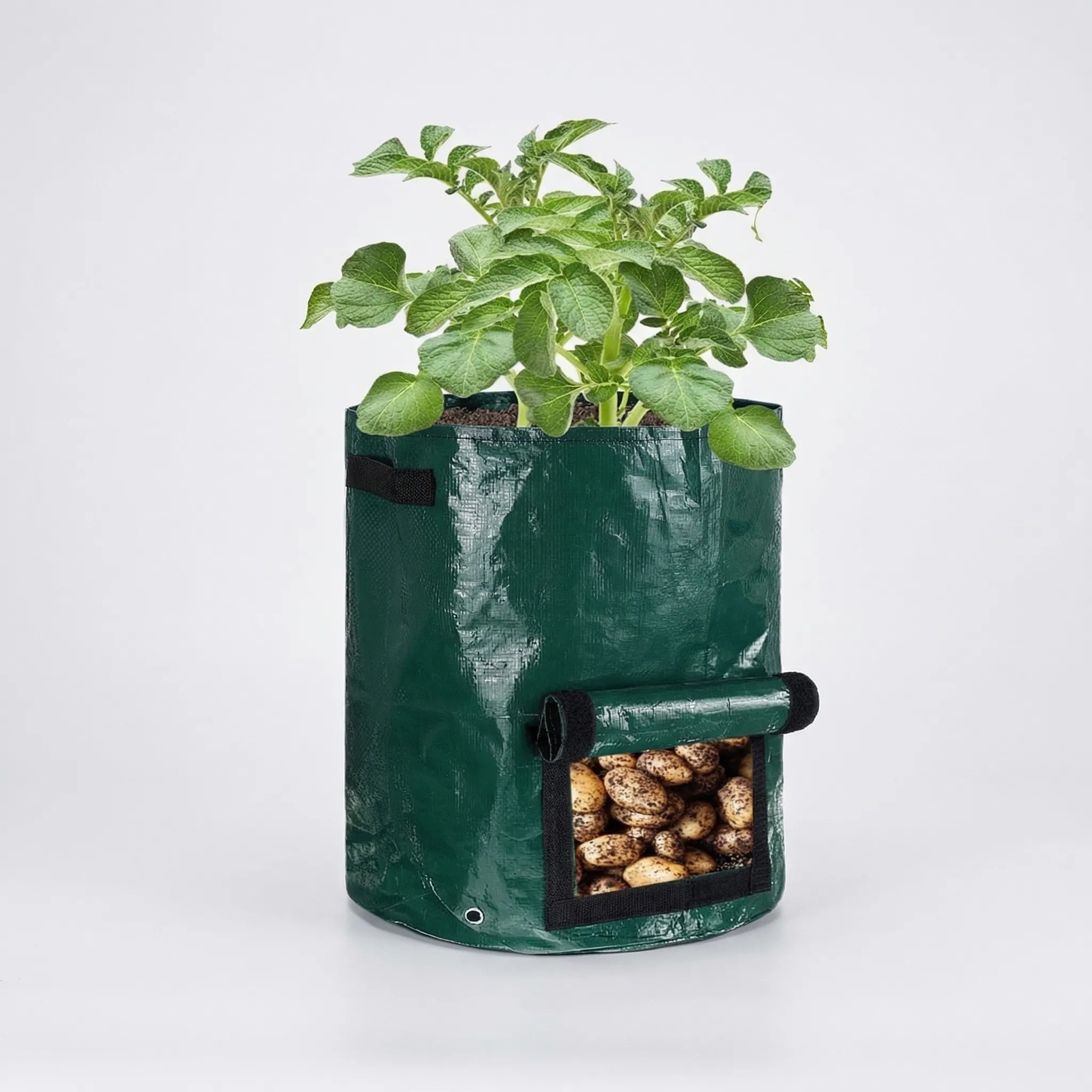 Nordspur | Growsack Roll-Up Window Vegetable Grow Bag