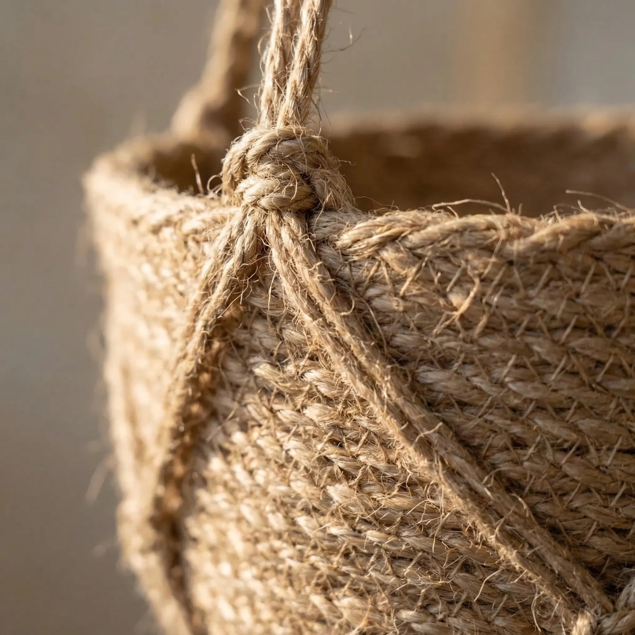 Nordspur | Hangvine Woven Rope Hanging Plant Basket