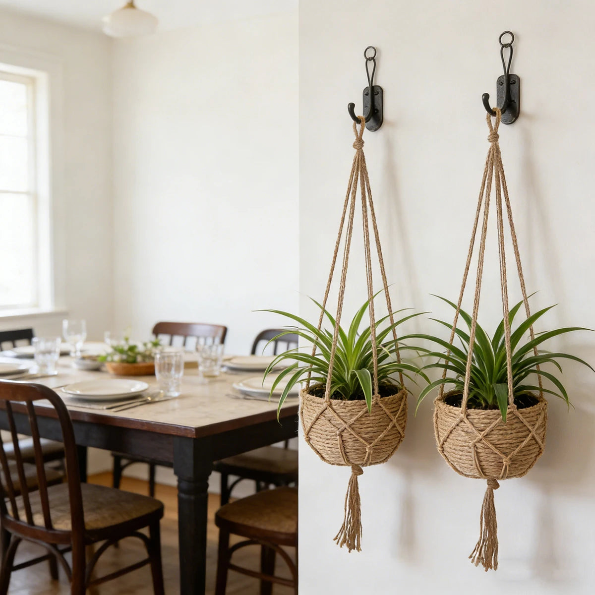 Nordspur | Hangvine Woven Rope Hanging Plant Basket
