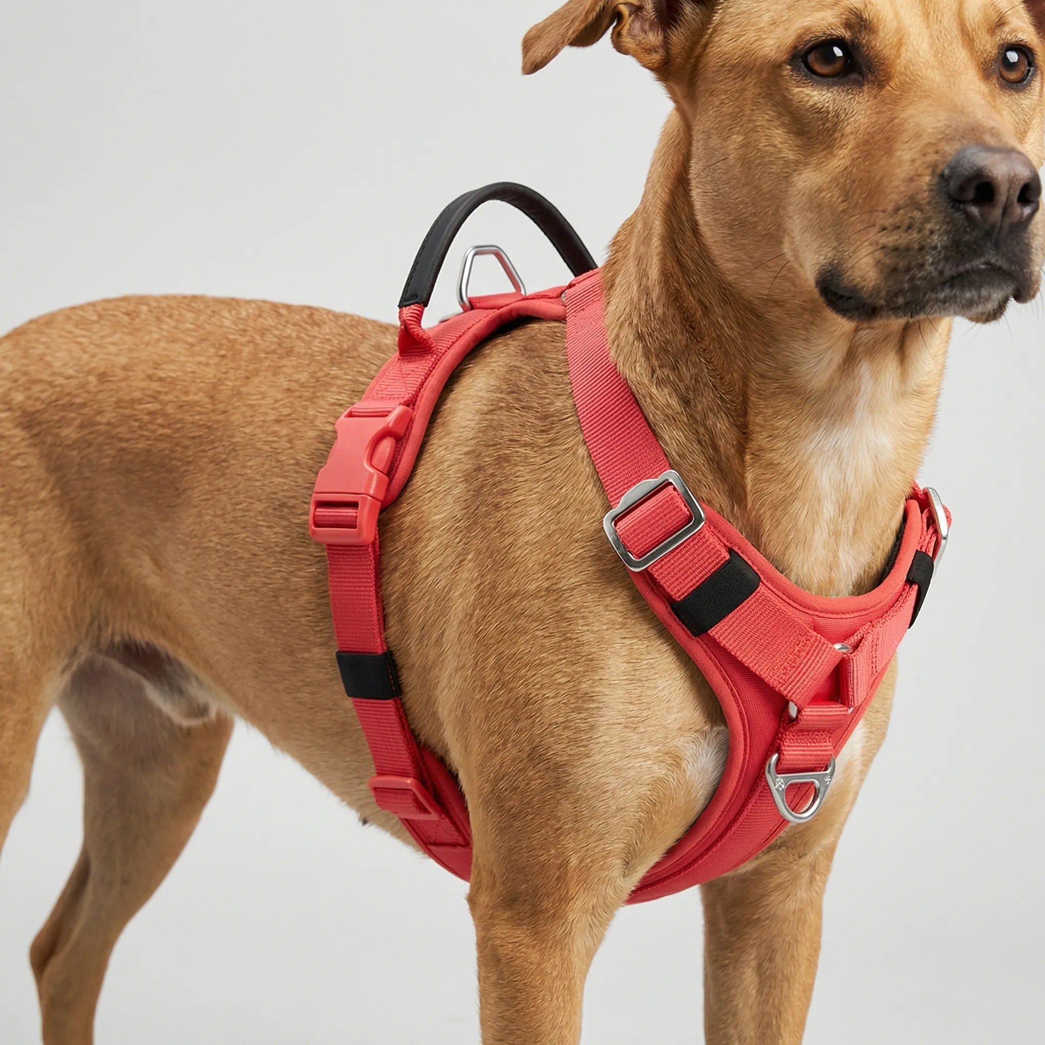 Nordspur | Houndlix Adjustable No-Pull Vest Harness