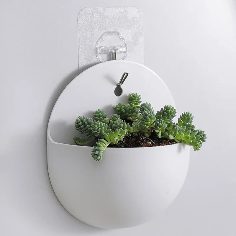 Nordspur | HoverPot Wall-Mounted Indoor Plant Vase