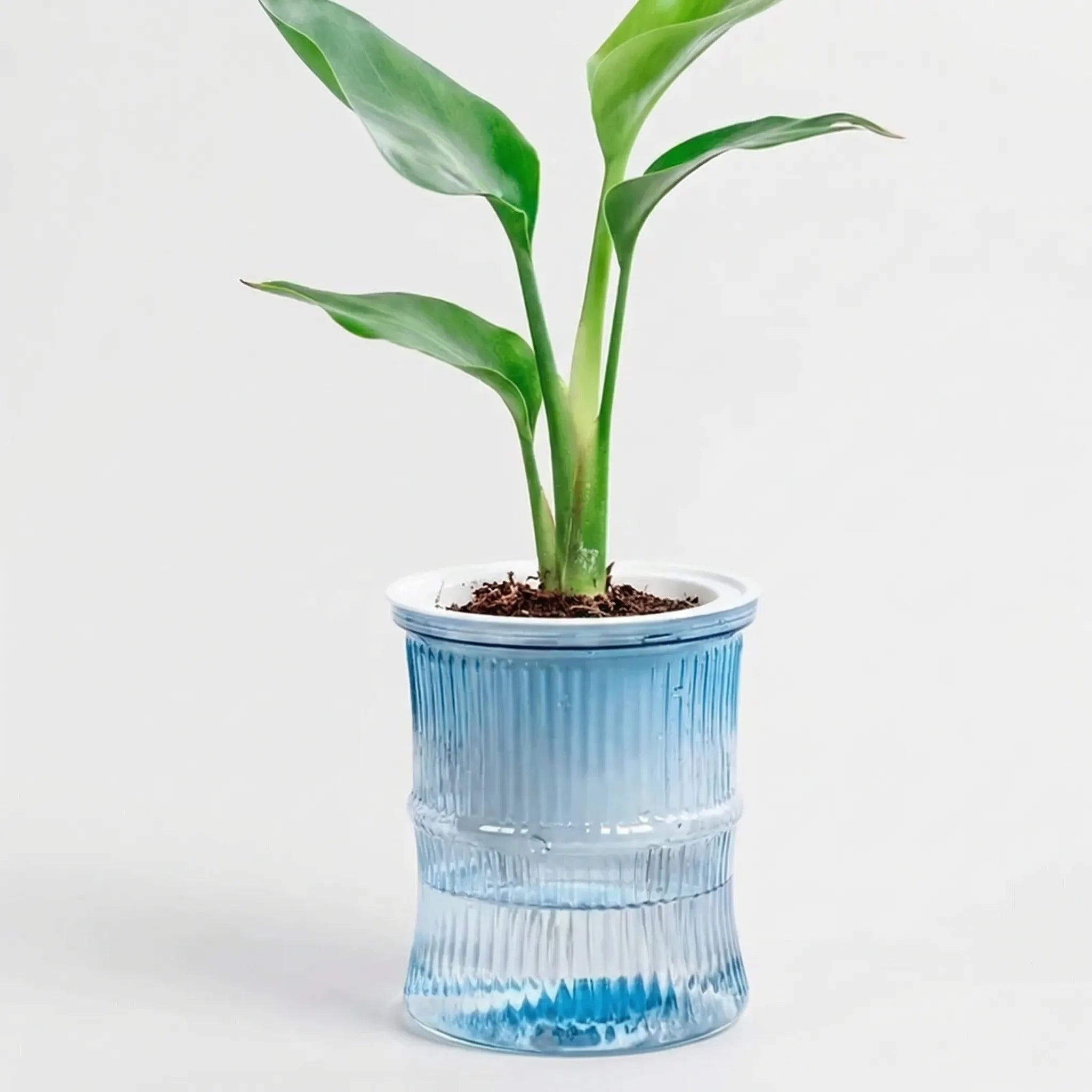 Nordspur | Hydroflo Double-Layer Self-Watering Indoor Planter