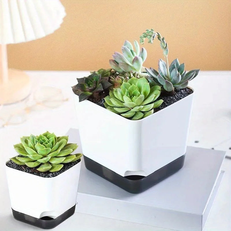 Nordspur | Hydrosiq Square Self-Watering Plant Pots