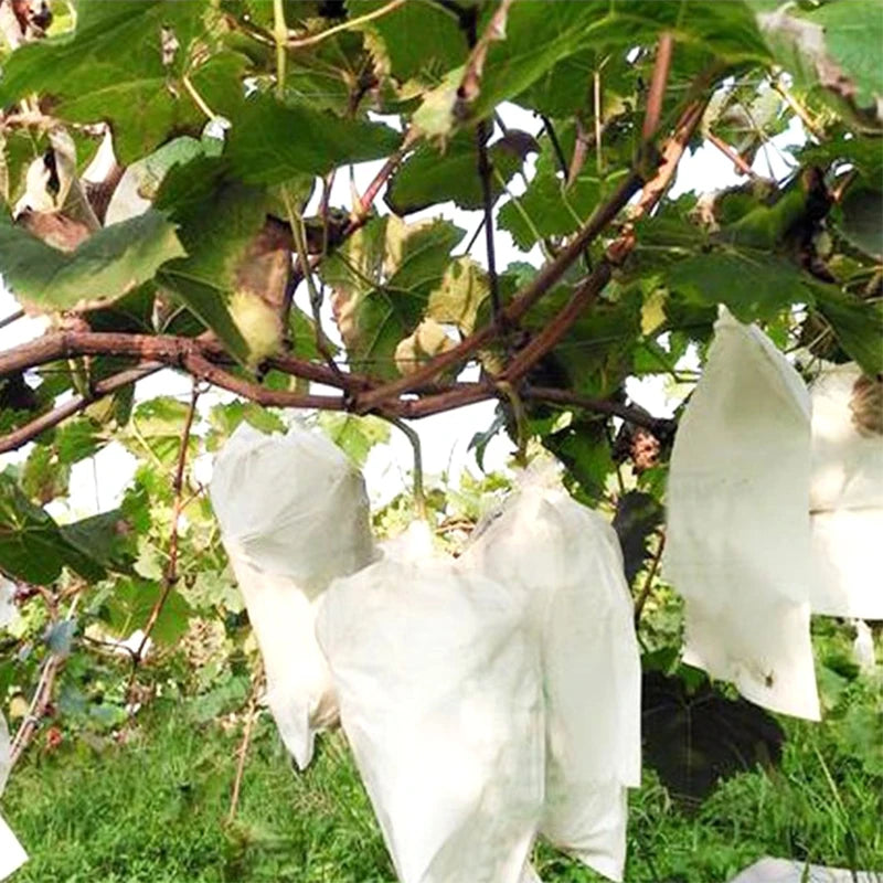 Nordspur | LeafShelter Winter Plant Protection Cover