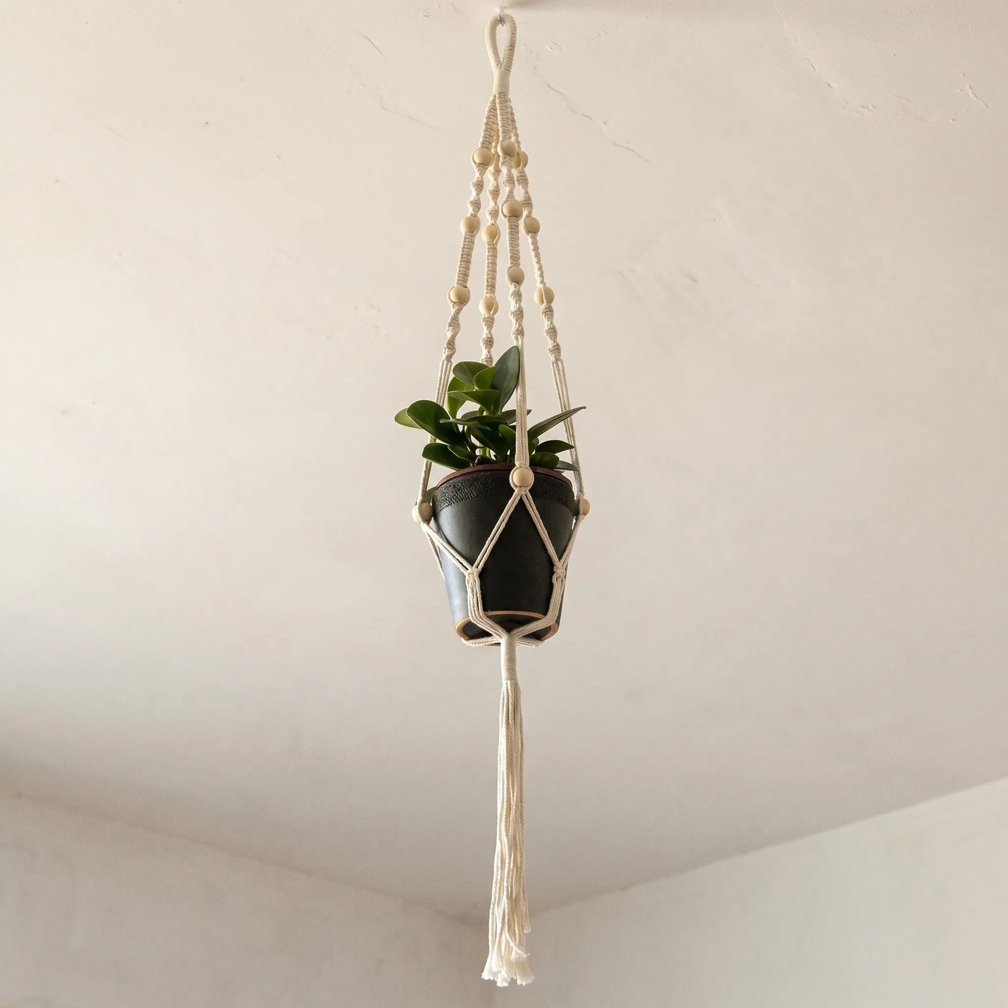 Nordspur | MacraSway Woven Plant Hanger