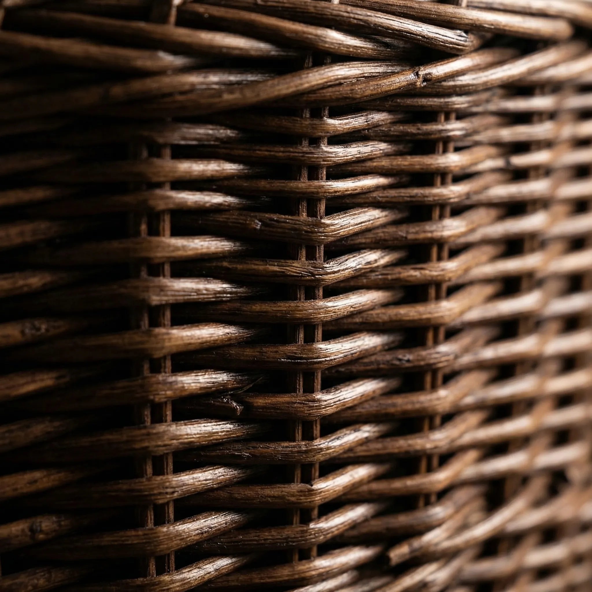 Nordspur | Nestwall Round Woven Wall-Mounted Plant Holder