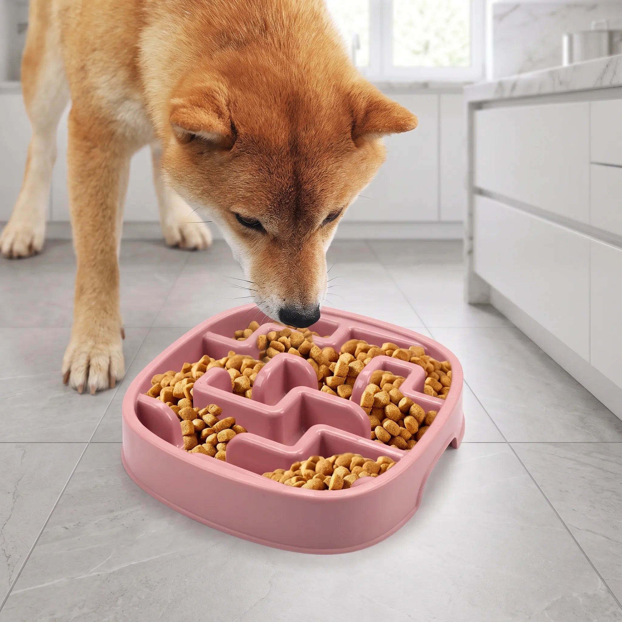 Nordspur | Noshway Maze Design Slow Feeder Bowl