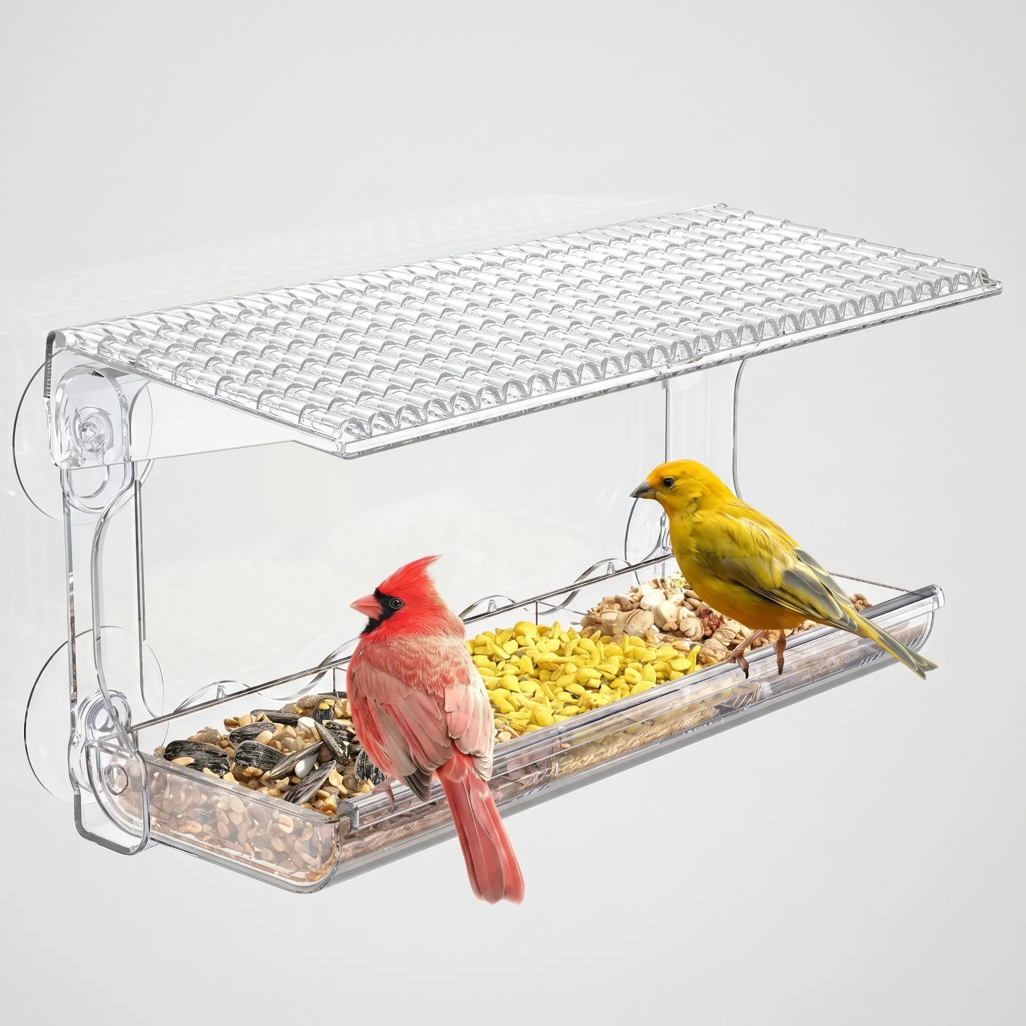 Nordspur | Ornithea Window Mounted Bird Feeder