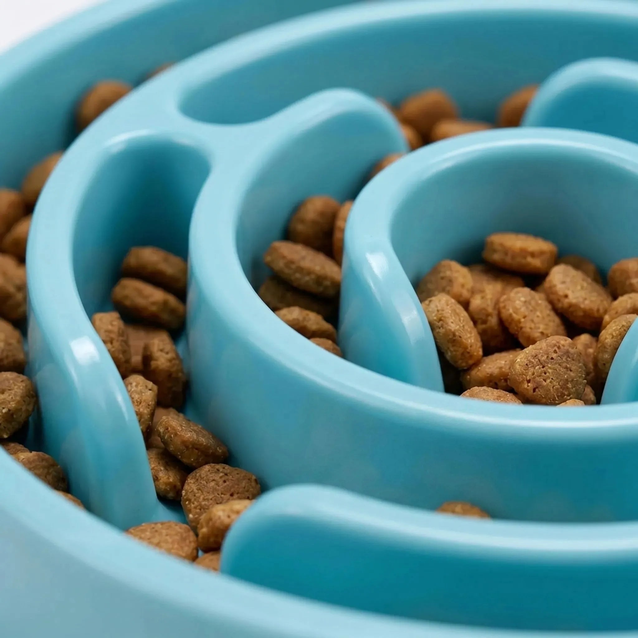 Nordspur | PaceFeast Interactive Slow Feeder Dog Bowl