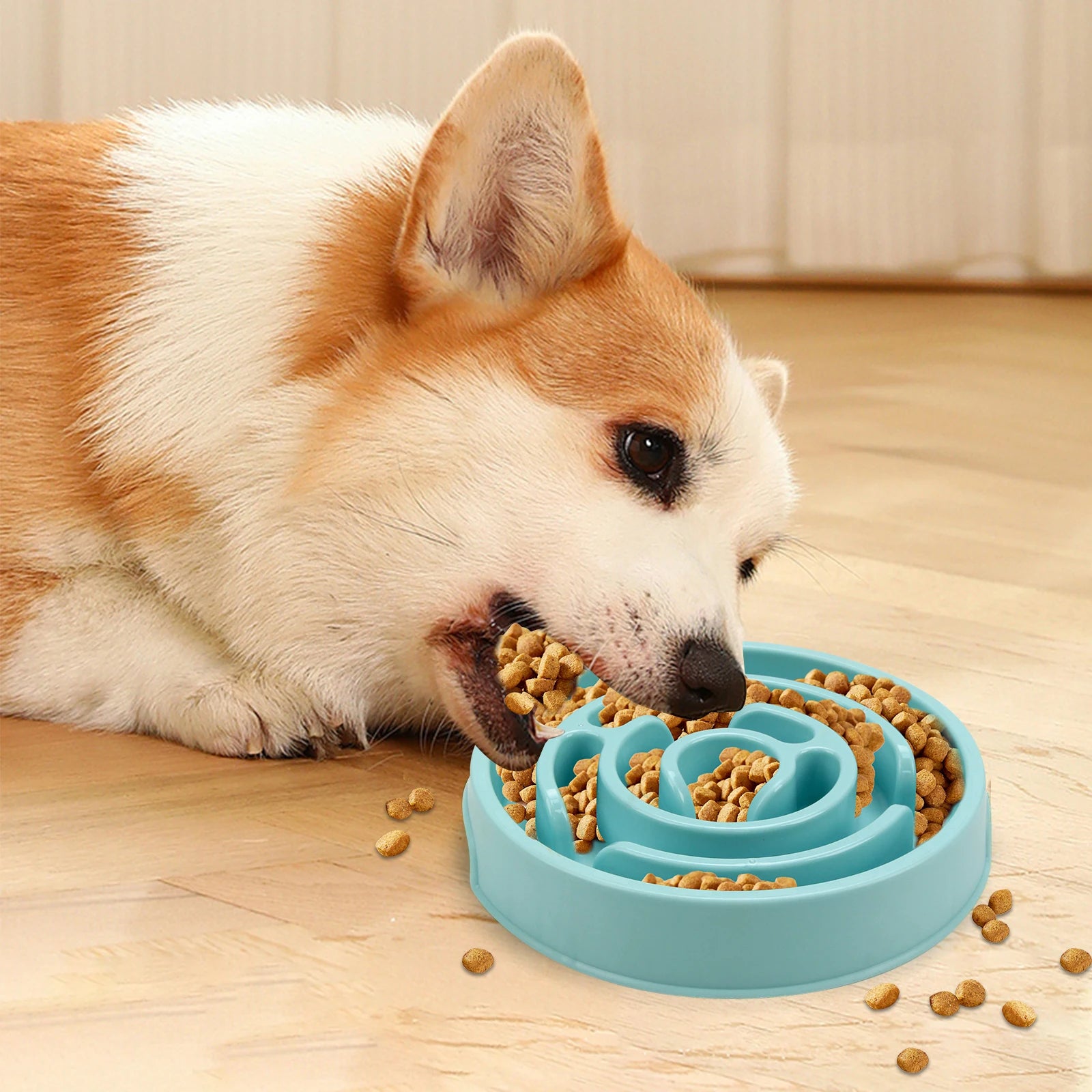 Nordspur | PaceFeast Interactive Slow Feeder Dog Bowl
