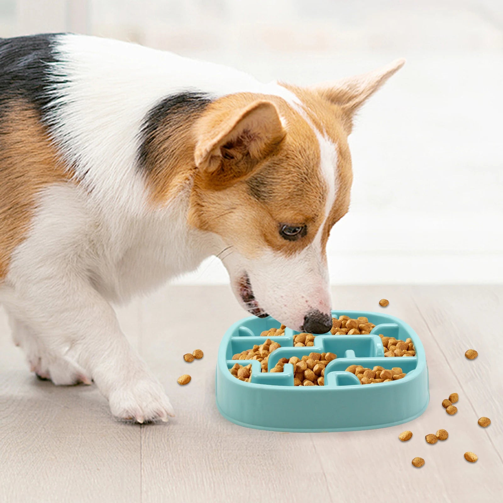 Nordspur | PaceFeast Interactive Slow Feeder Dog Bowl
