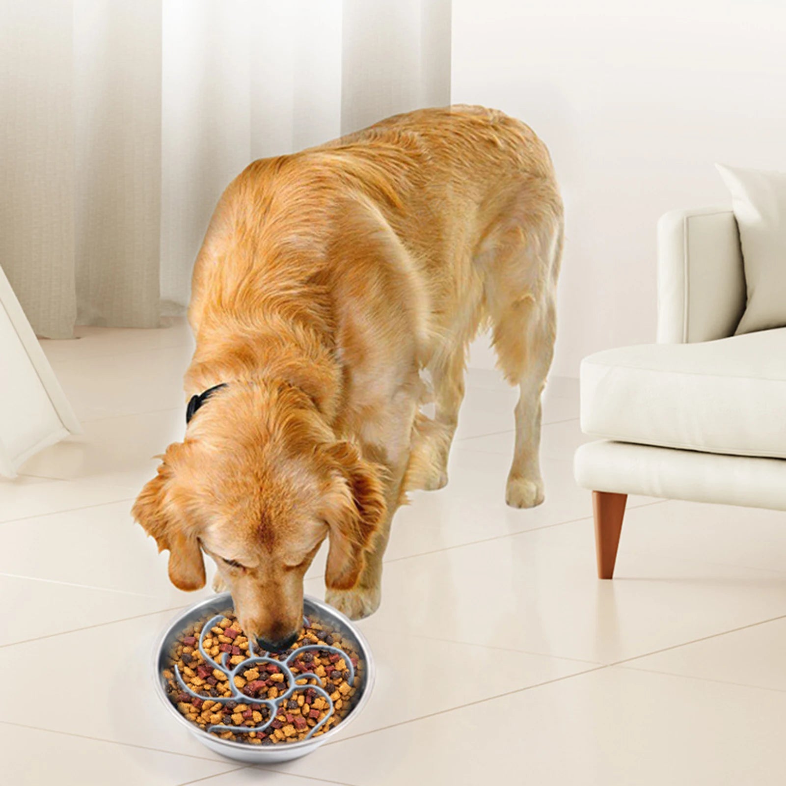 Nordspur | PacePaws Spiral Slow Feeder Dog Bowl Insert