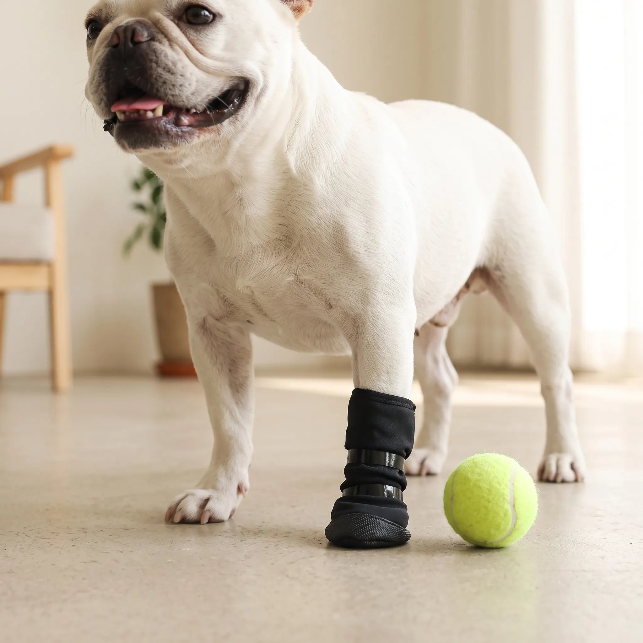 Nordspur | Pavora Adjustable Post-Surgical Dog Leg Sleeve