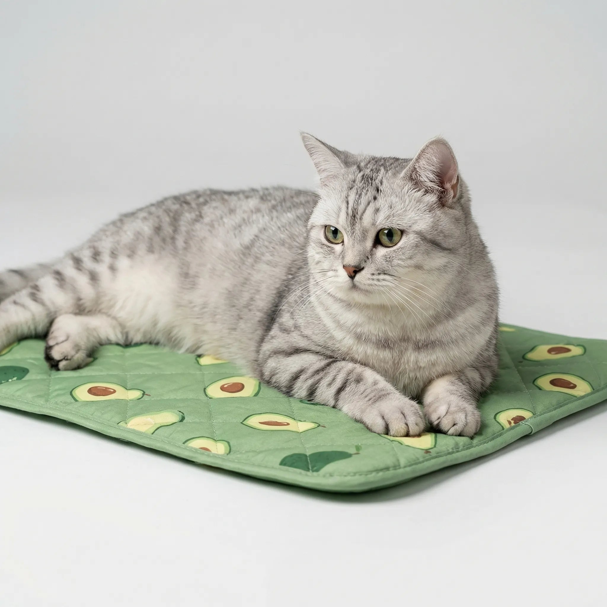 Nordspur | Pawchill Breathable Cooling Pet Sleep Mat