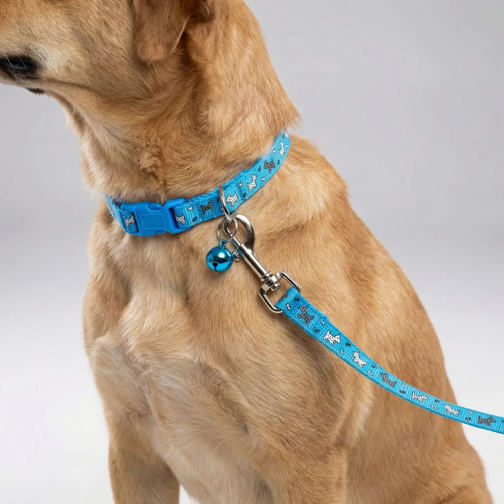 Nordspur | Pawdash Adjustable Collar And Leash Set