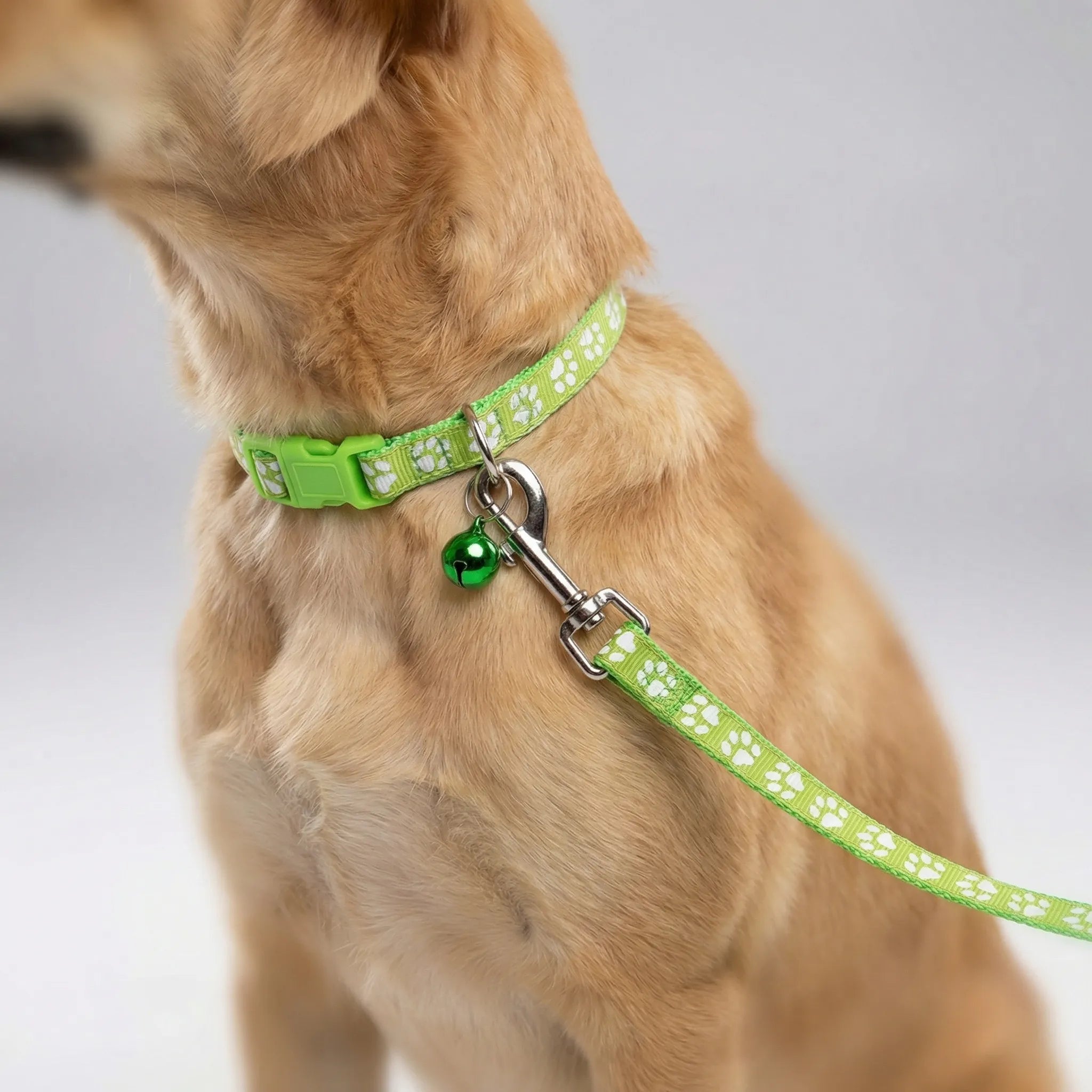 Nordspur | Pawdash Adjustable Collar And Leash Set