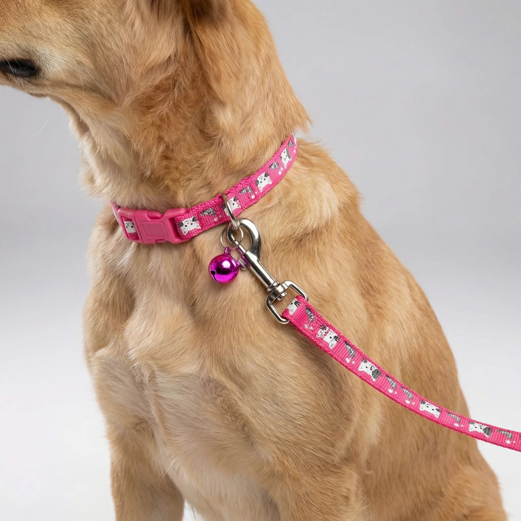 Nordspur | Pawdash Adjustable Collar And Leash Set