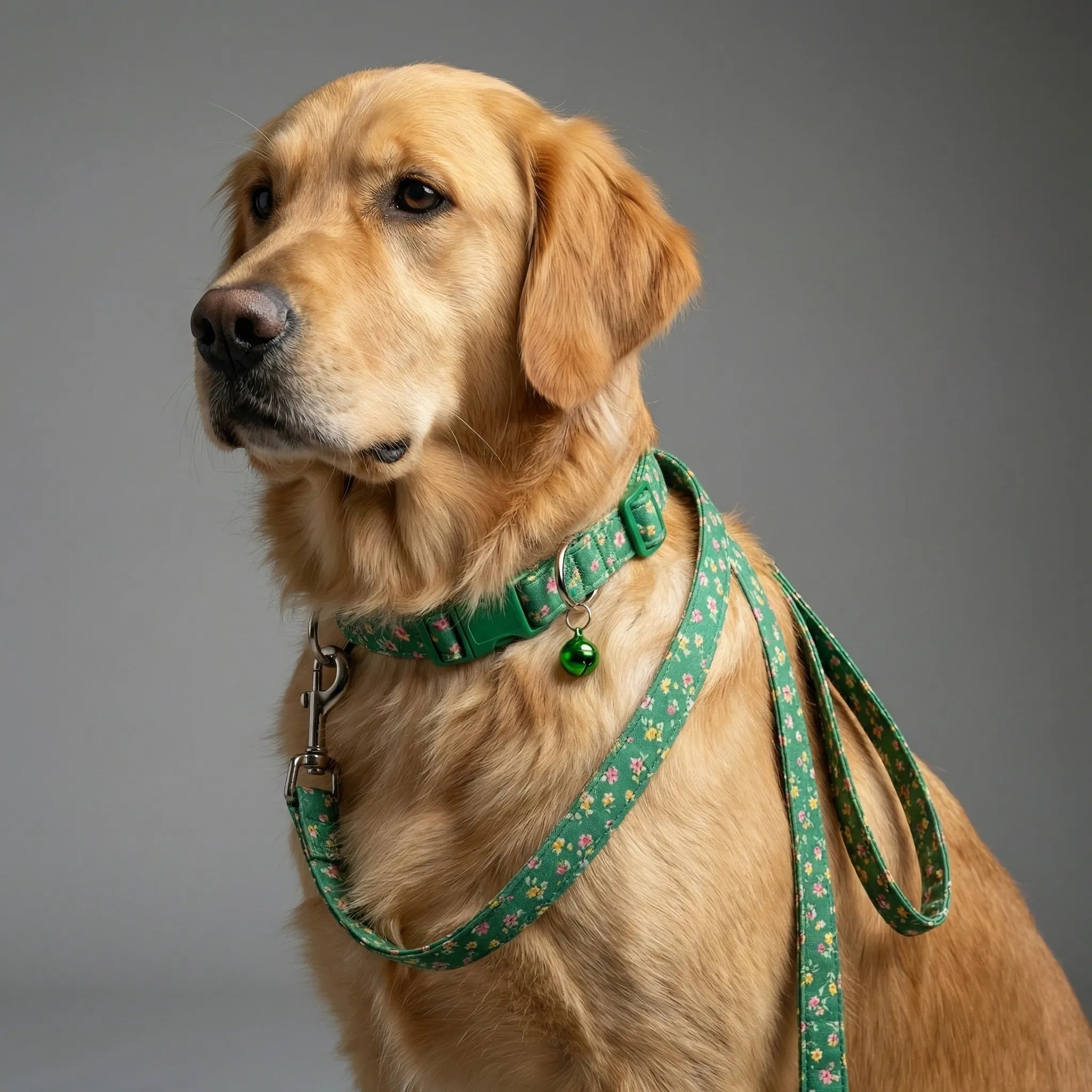 Nordspur | Pawdash Adjustable Collar And Leash Set