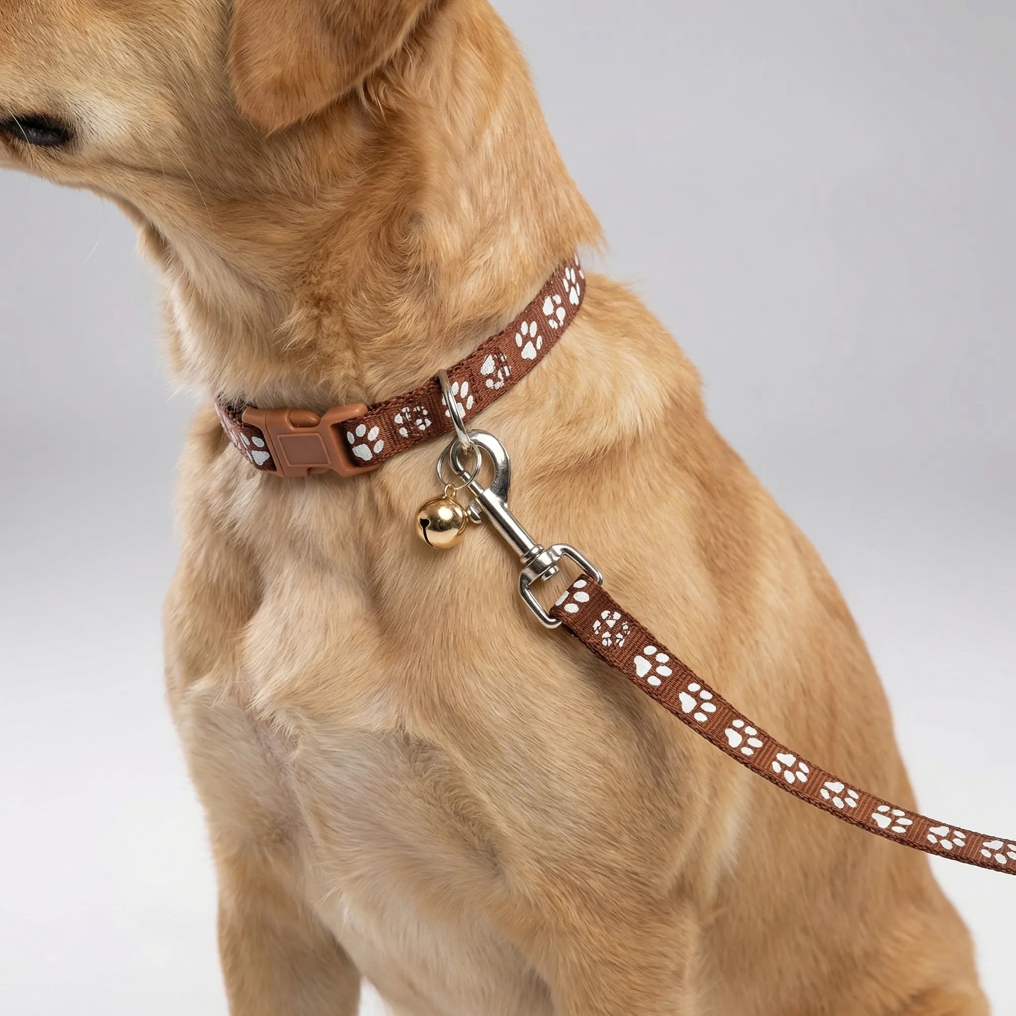 Nordspur | Pawdash Adjustable Collar And Leash Set