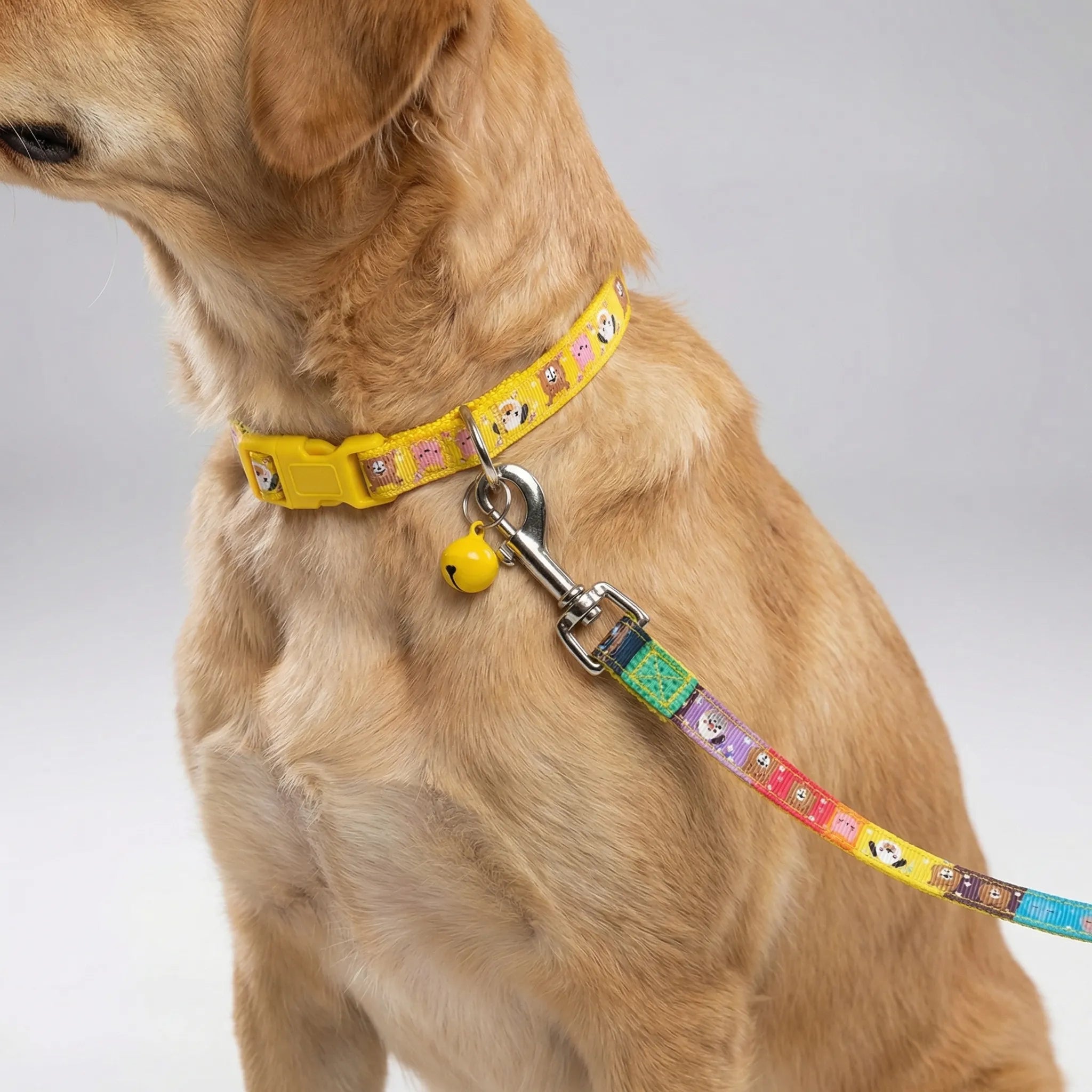 Nordspur | Pawdash Adjustable Collar And Leash Set