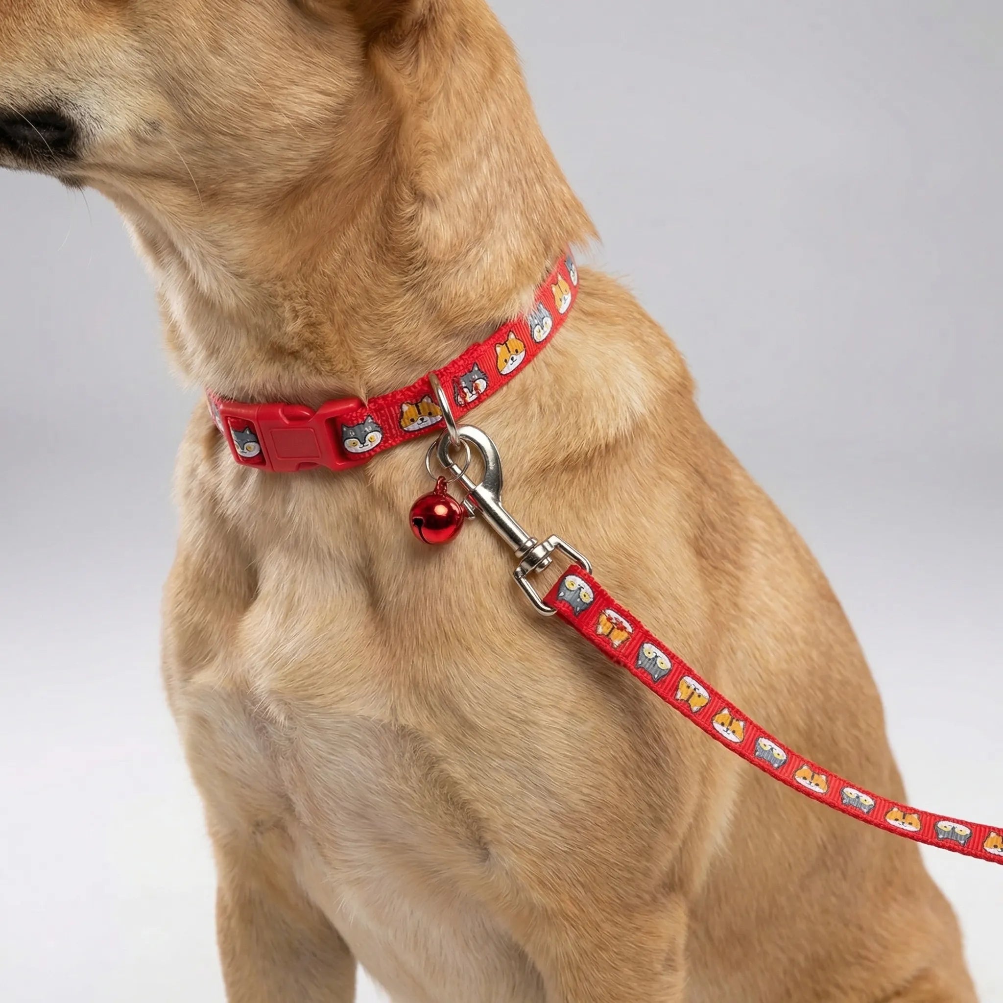 Nordspur | Pawdash Adjustable Collar And Leash Set
