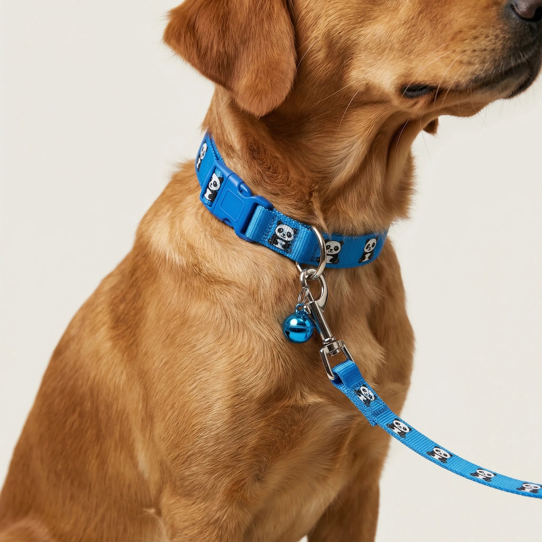Nordspur | Pawdash Adjustable Collar And Leash Set