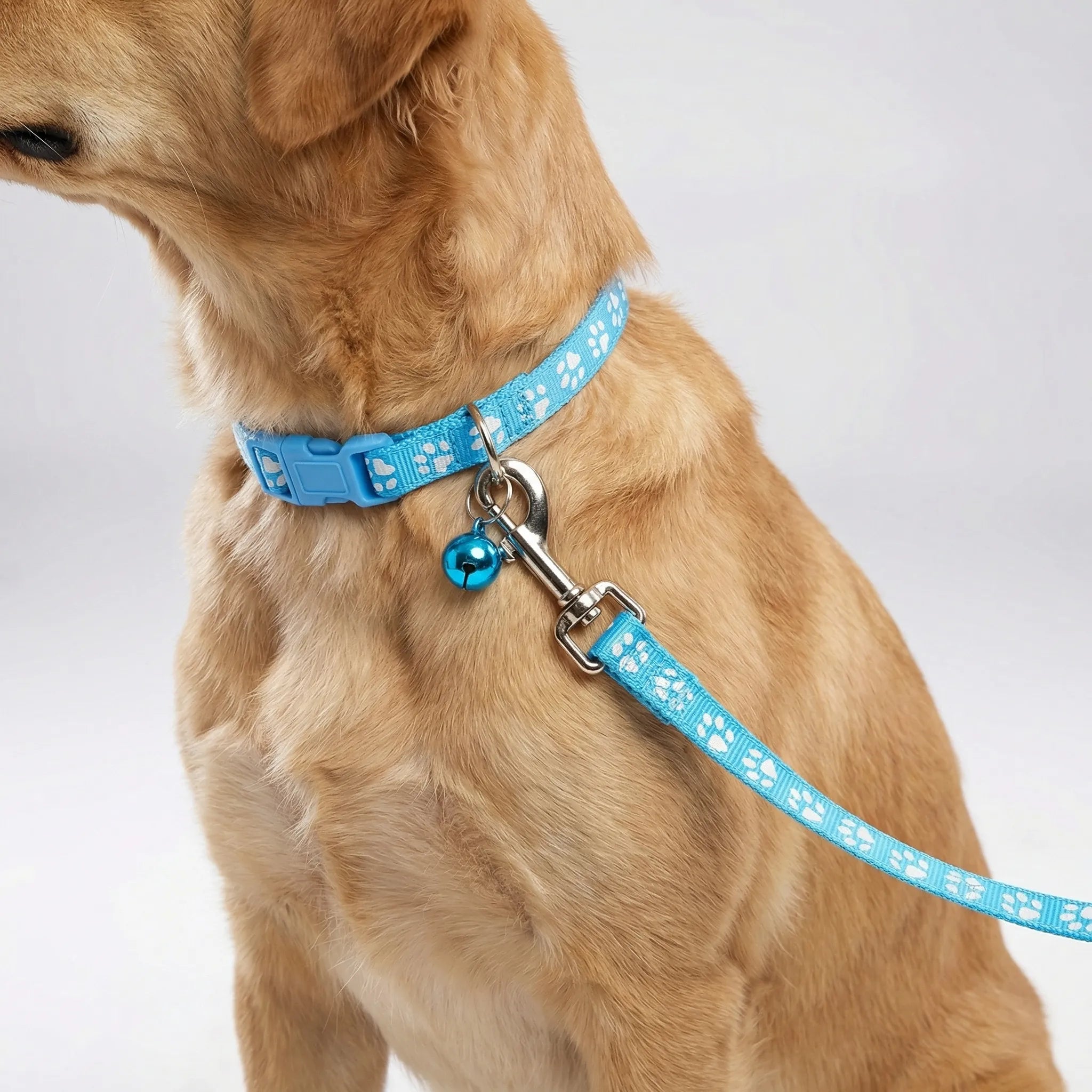 Nordspur | Pawdash Adjustable Collar And Leash Set
