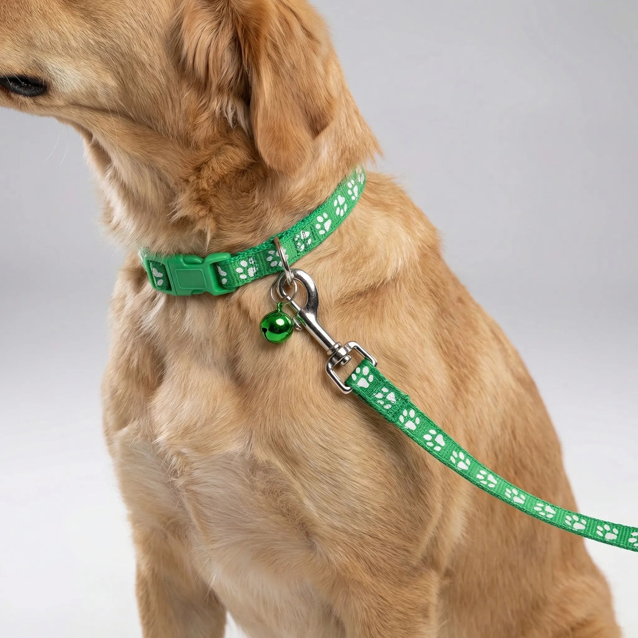 Nordspur | Pawdash Adjustable Collar And Leash Set