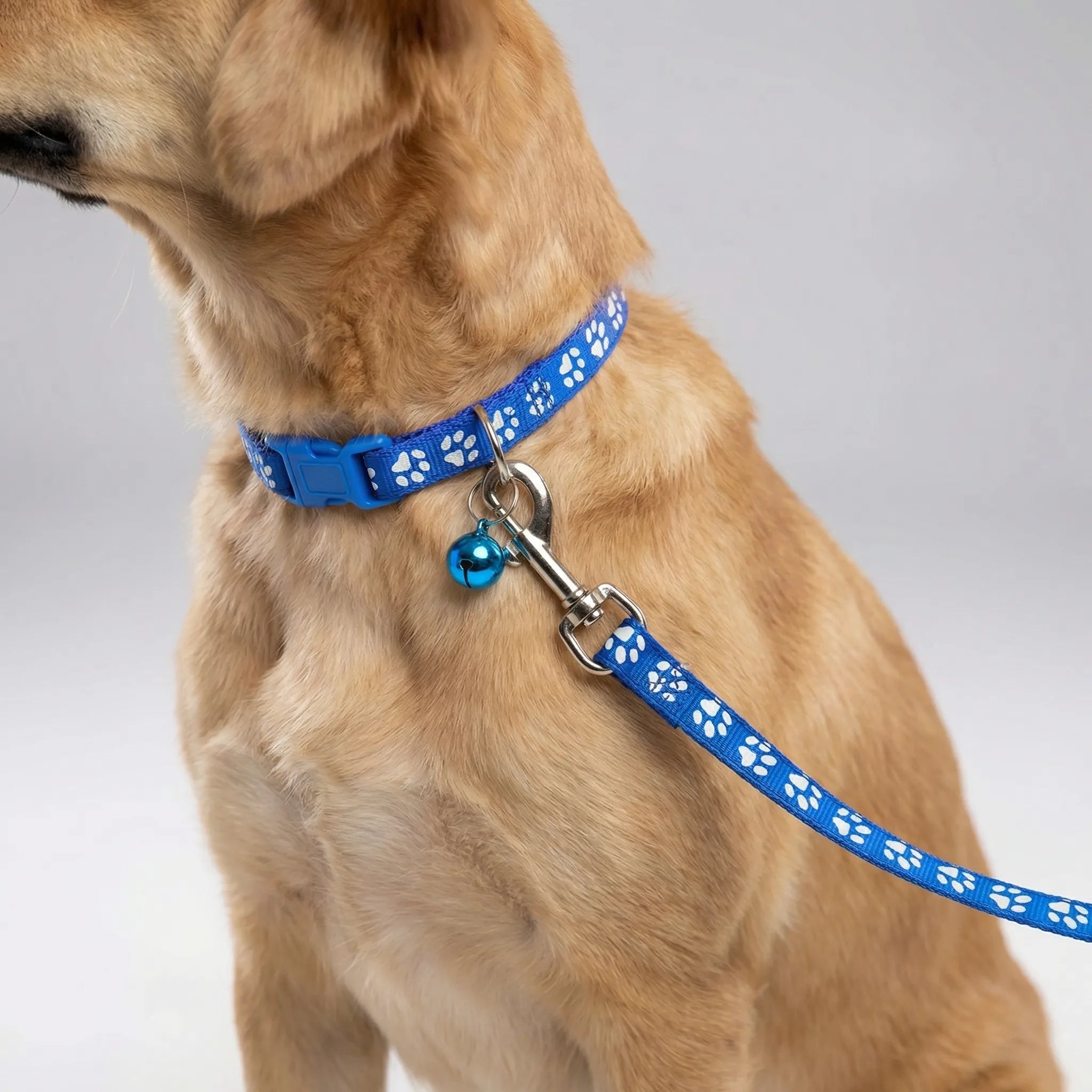 Nordspur | Pawdash Adjustable Collar And Leash Set