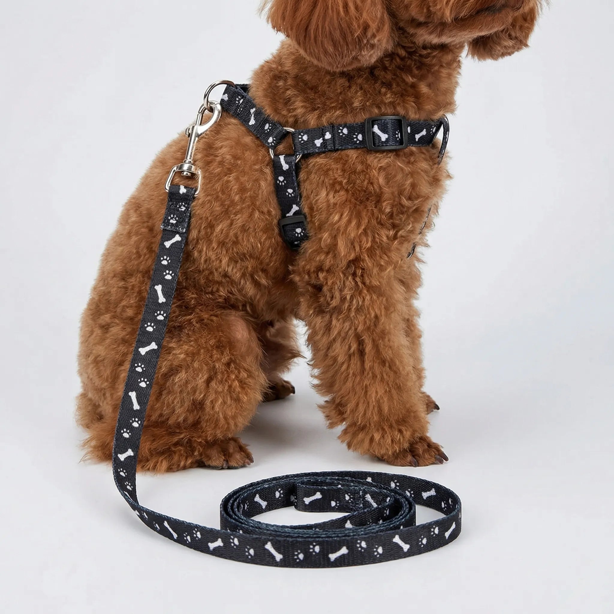Nordspur | Pawlette Small Pet Harness And Lead Set