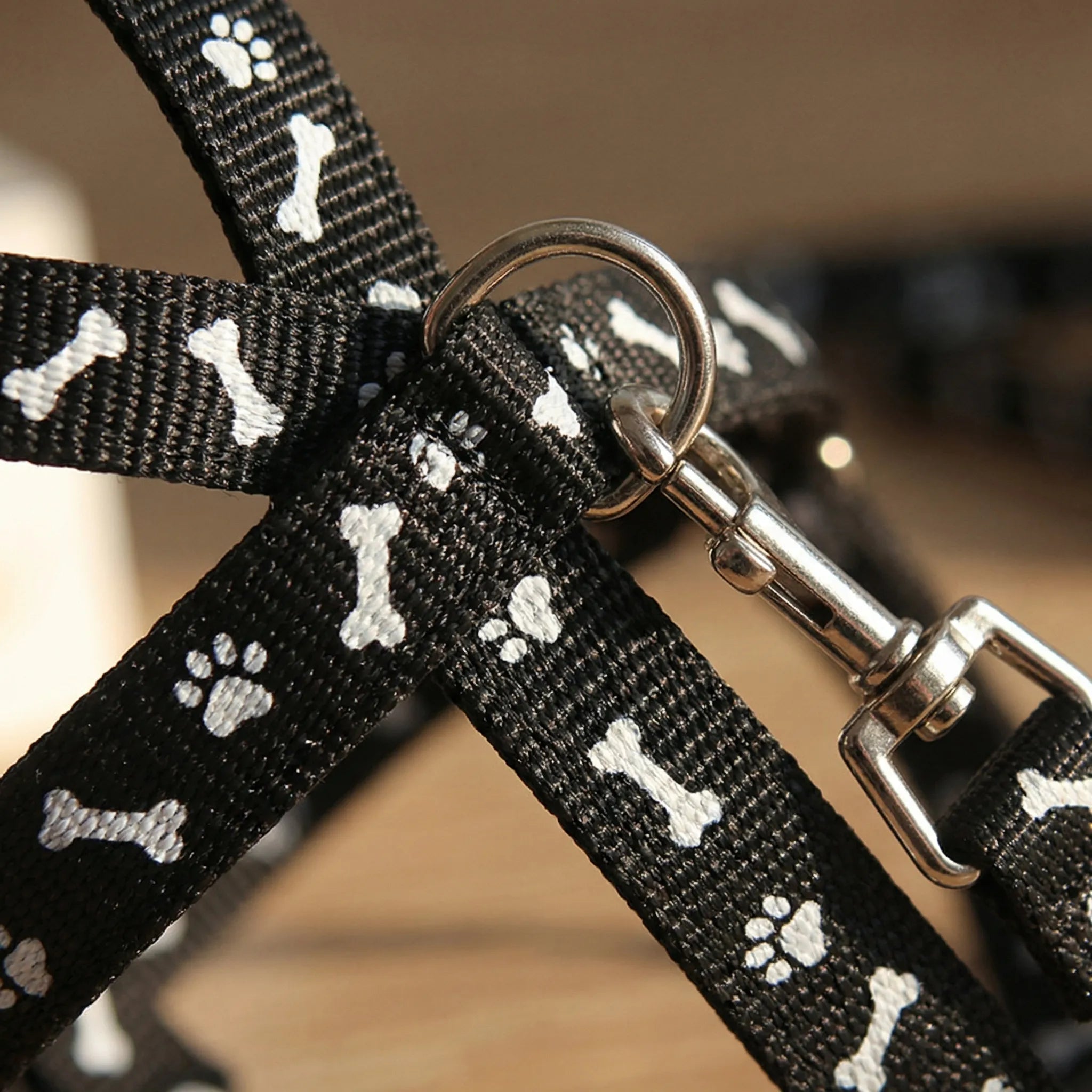 Nordspur | Pawlette Small Pet Harness And Lead Set