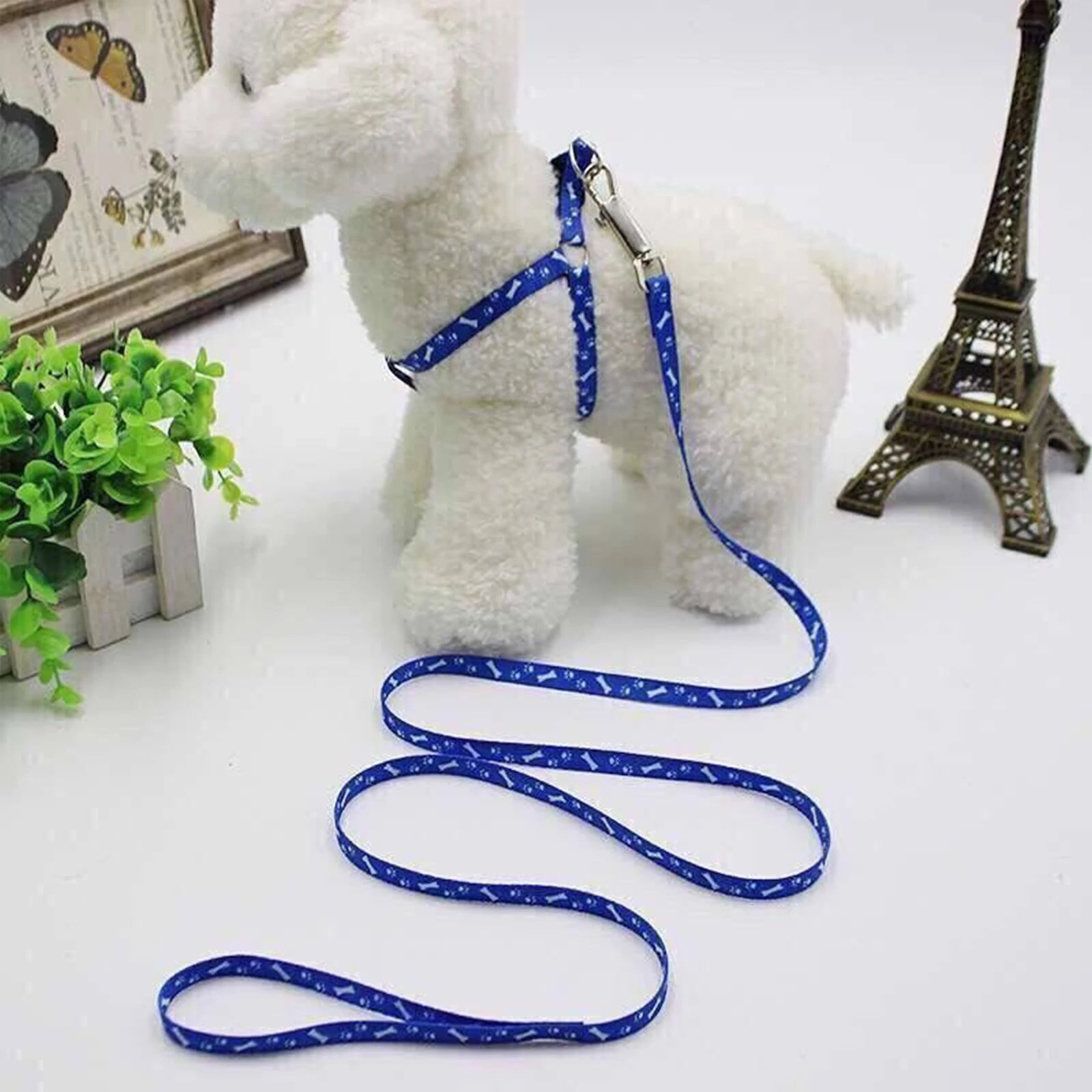 Nordspur | Pawlette Small Pet Harness And Lead Set