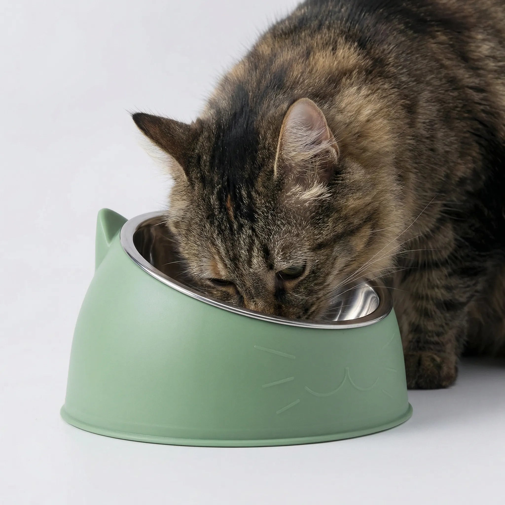 Nordspur | Pawlique Inclined Tilted Cat Feeding Bowl