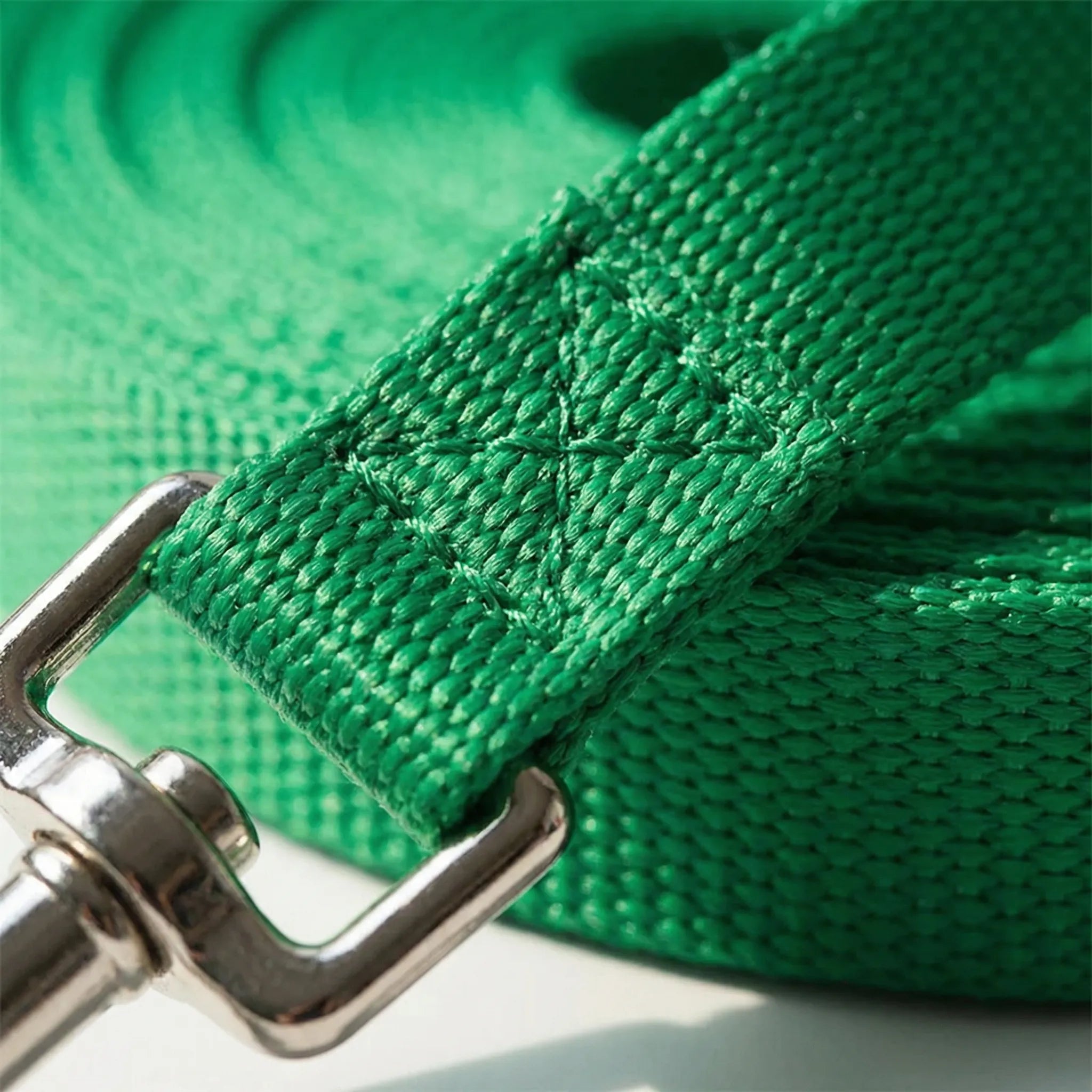 Nordspur | Pawlyne Long-Line Dog Training Lead