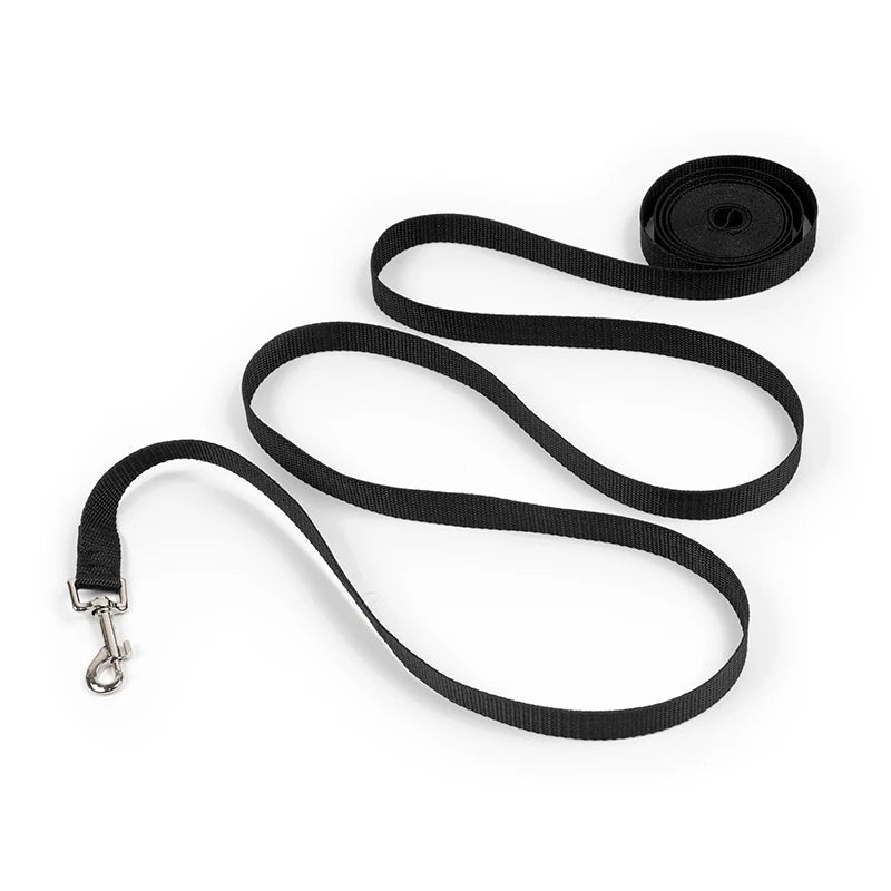 Nordspur | Pawlyne Long-Line Dog Training Lead