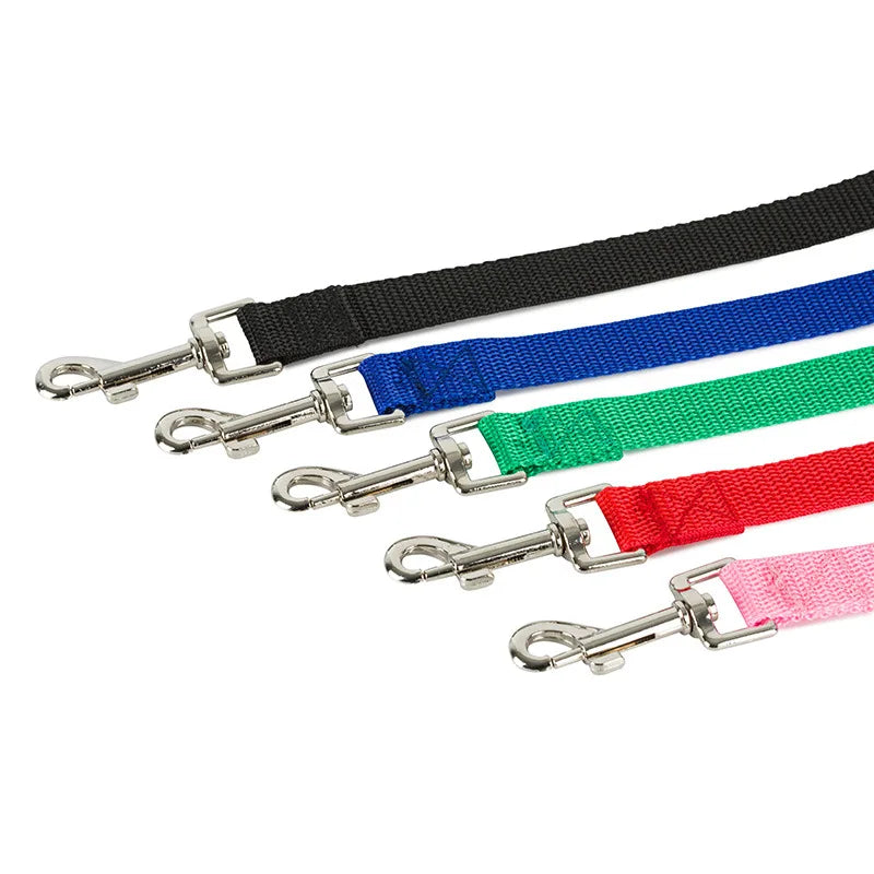 Nordspur | Pawlyne Long-Line Dog Training Lead