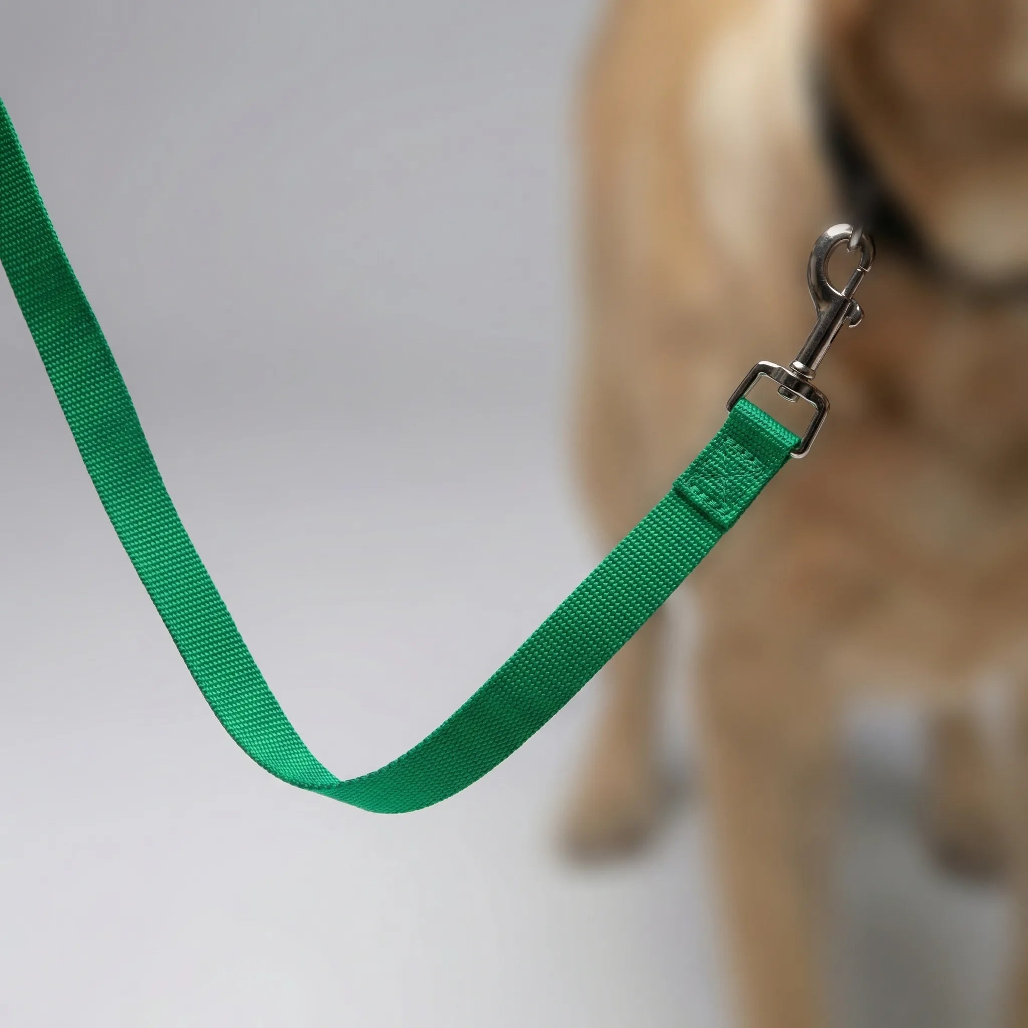 Nordspur | Pawlyne Long-Line Dog Training Lead