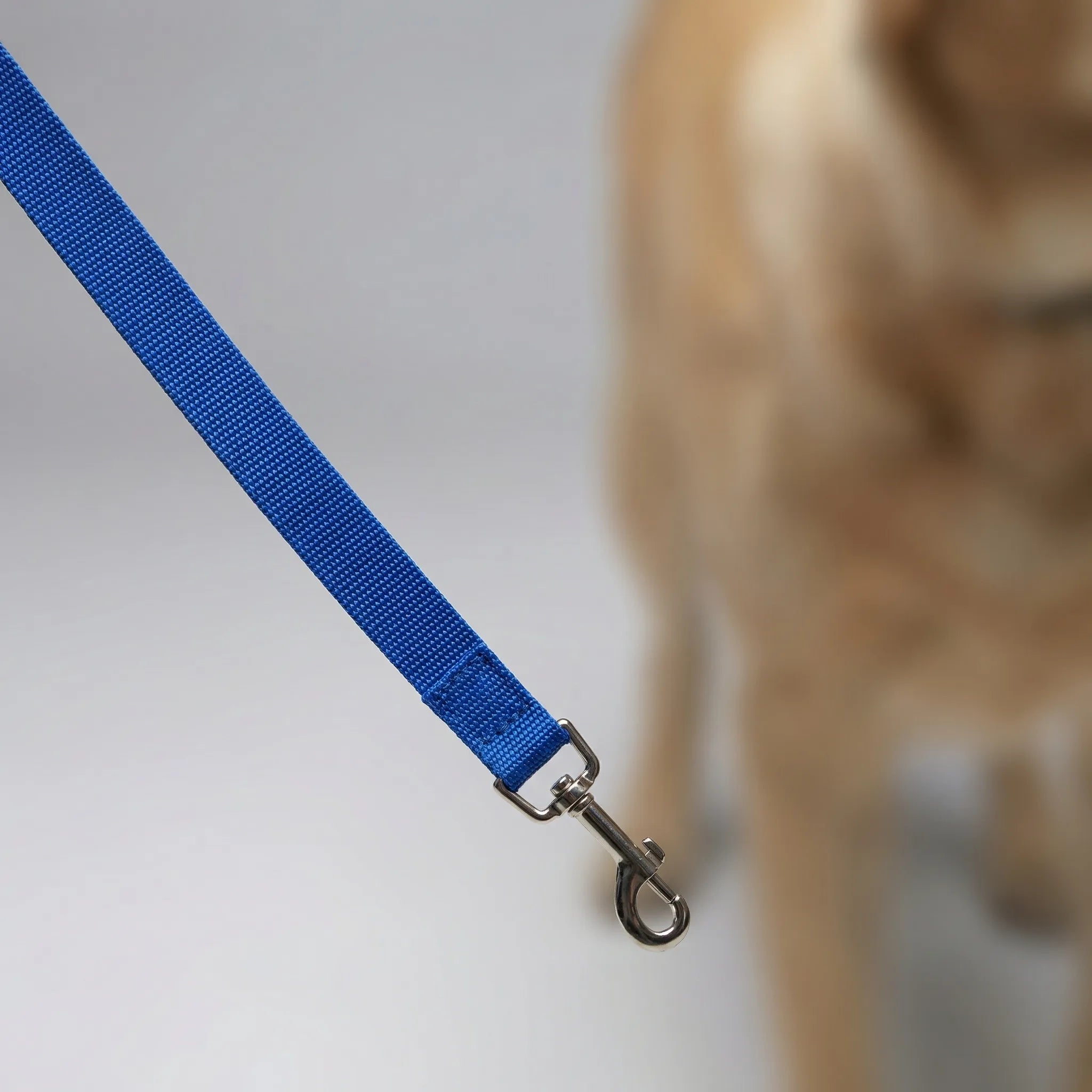 Nordspur | Pawlyne Long-Line Dog Training Lead